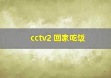 cctv2 回家吃饭